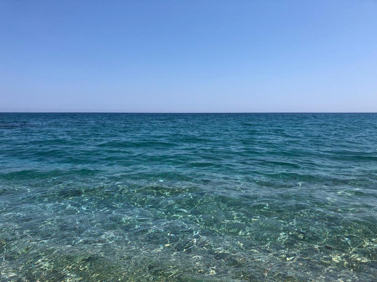 Casa Ceragioli Villa Viareggio Kültér fotó